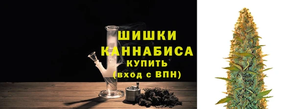 сатива Осташков