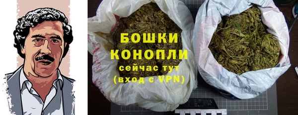 сатива Осташков